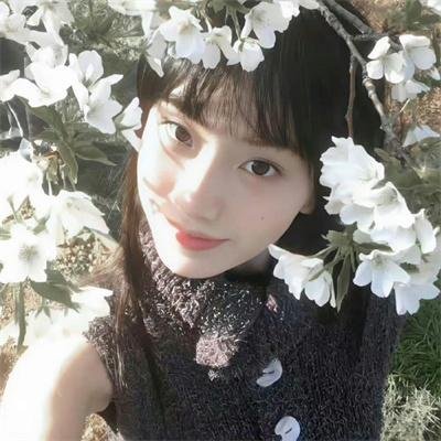 含羞草也想开花